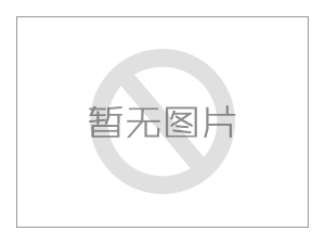 睿豐智能研發生產的軌道運輸監控系統無線通信采用什么技術？